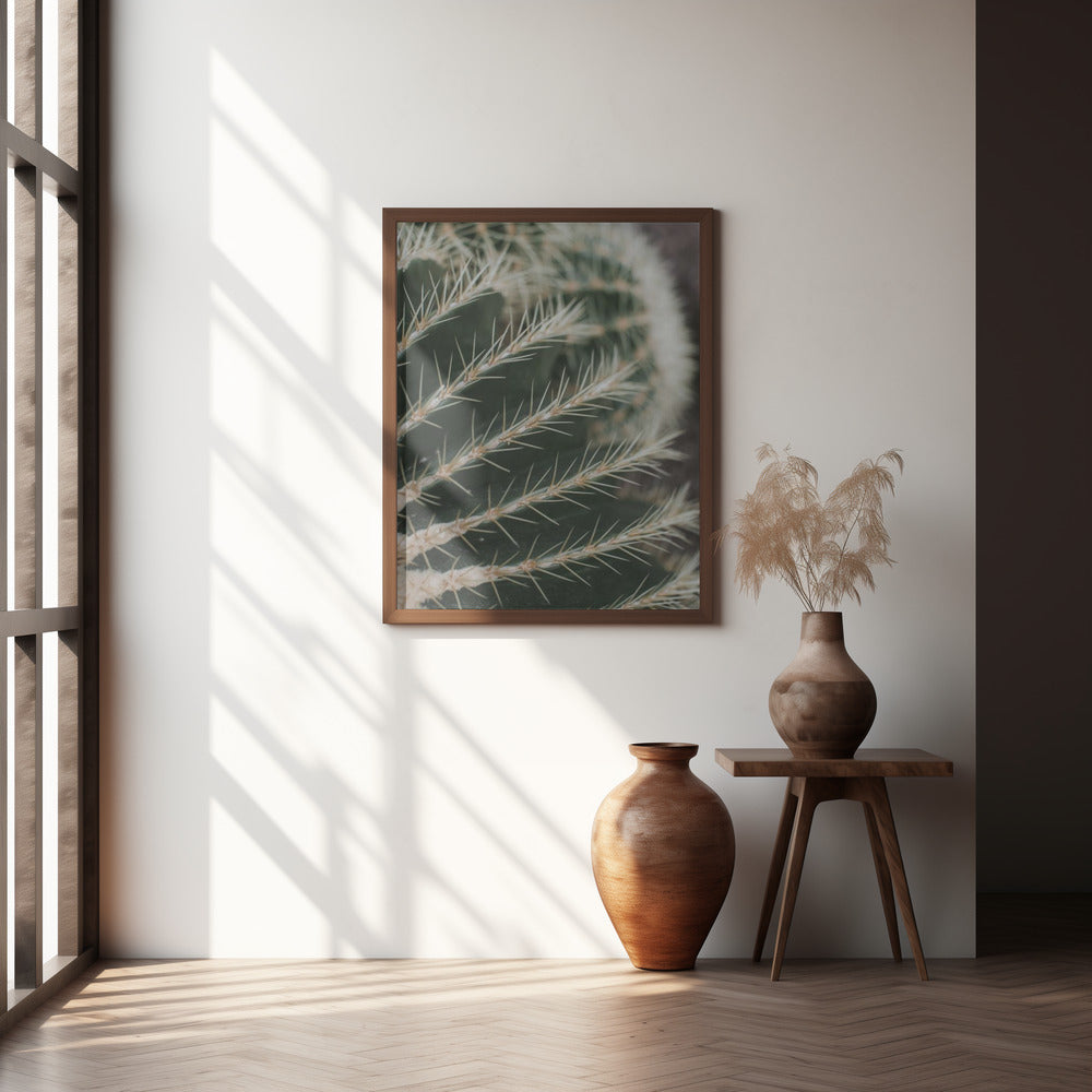 Cactus II Poster